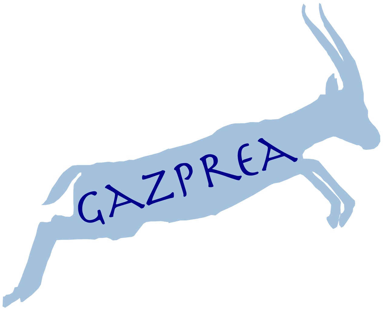 Project image for Gazprea Compiler
